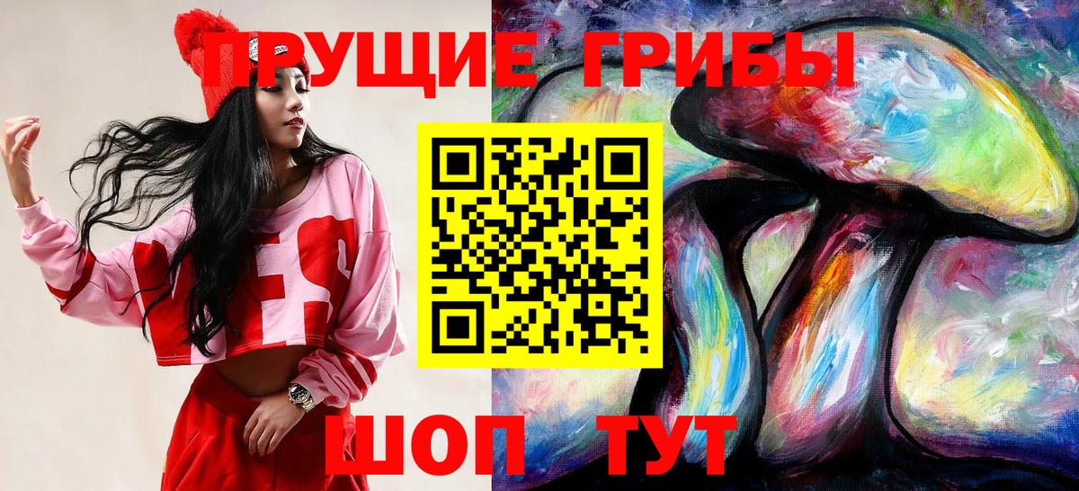 Галлюциногенные грибы прущие грибы  Вход с VPN  Тайшет  Псилоцибиновые грибы GOLDEN TEACHER 
