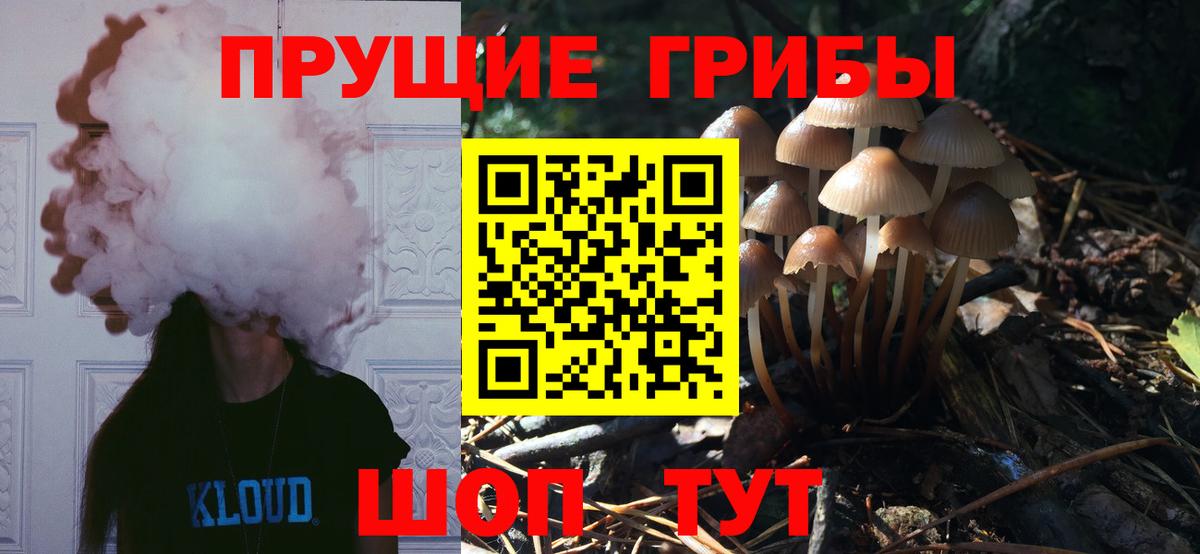Псилоцибиновые грибы Psilocybine cubensis Тайшет